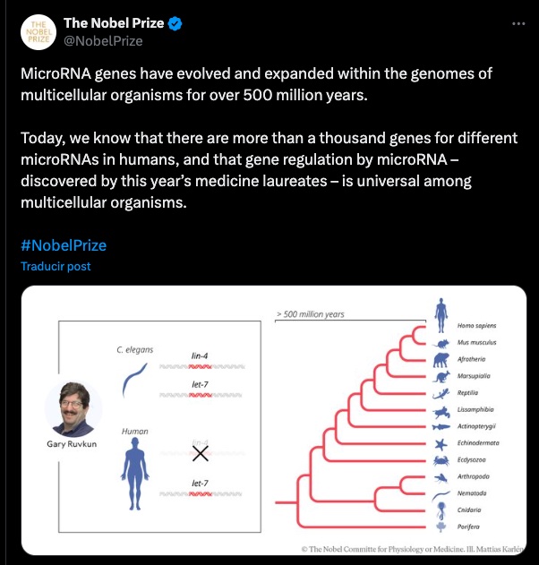 Premio Nobel de Medicina