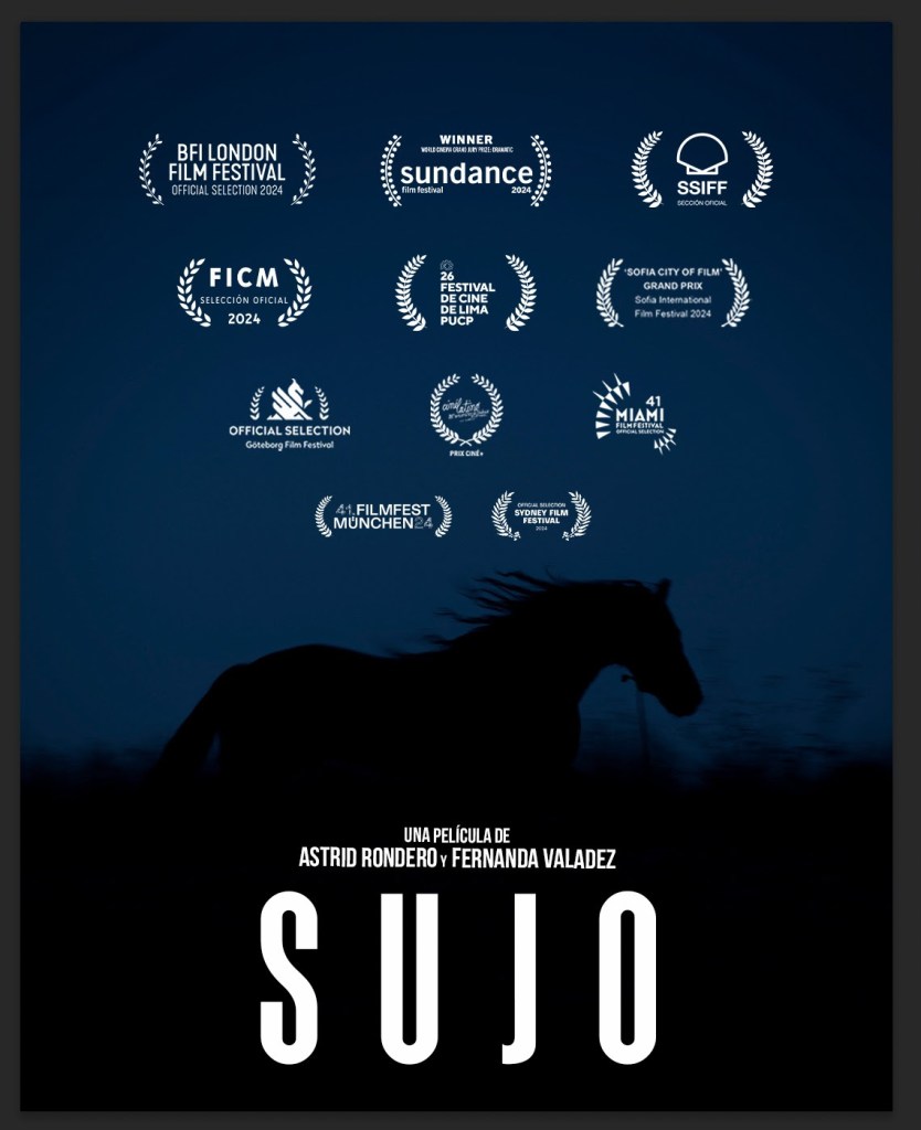 Póster oficial de 'Sujo'