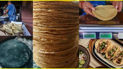 ¿Cuántos tacos salen de un kilo de tortillas y cuánto cuestan actualmente?