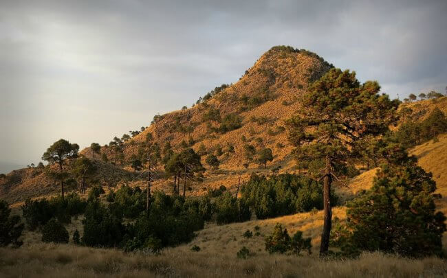 Historia del Ajusco, uno de los bosques de la CDMX