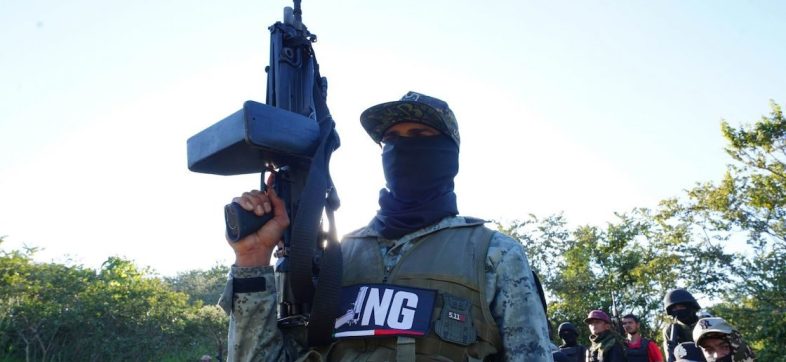 Grupo Operativo Lagarto CJNG-13