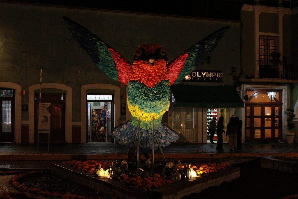 colibri mensajero huamantla