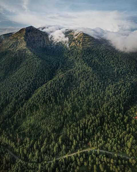 Historia del Ajusco, uno de los bosques de la CDMX