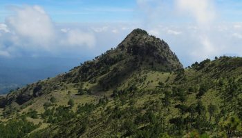 Historia del Ajusco, uno de los bosques de la CDMX