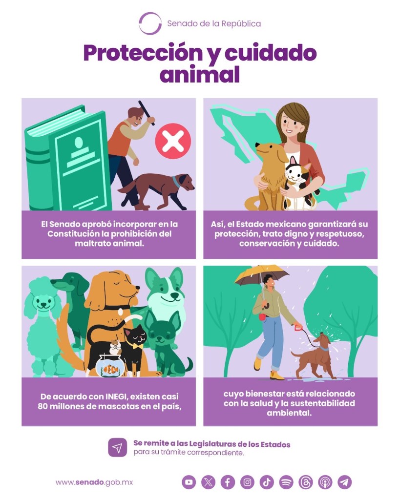 proteccion y cuidado animal