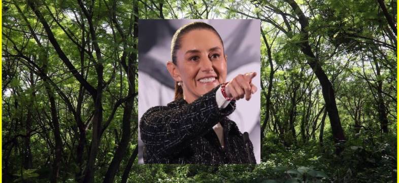 Claudia Sheinbaum reduce el presupuesto a la Secretaría de Medio Ambiente y Recursos Naturales.