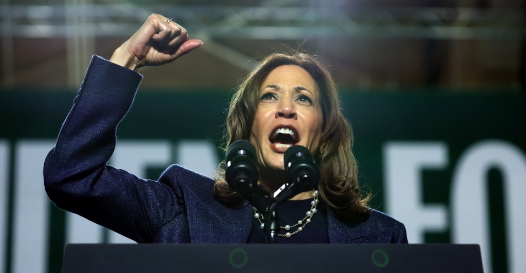 Elecciones de Estados Unidos: El método para predecir sismos que da triunfo a Kamala Harris