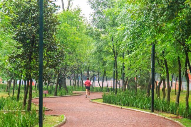 6 parques para ir a correr en la CDMX