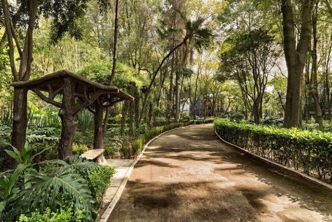 6 parques para ir a correr en la CDMX