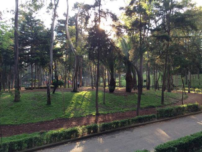 6 parques para ir a correr en la CDMX