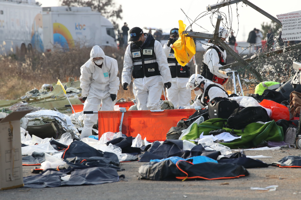 Accidente de avión en Corea del Sur pudo ser provocado por un choque con aves 