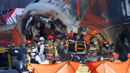 Accidente de avión en Corea del Sur pudo ser provocado por un choque con aves