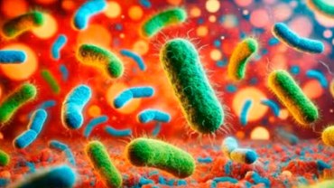 El avance de la bacteria klebsiella oxytoca avanza en México y no tenemos respuesta