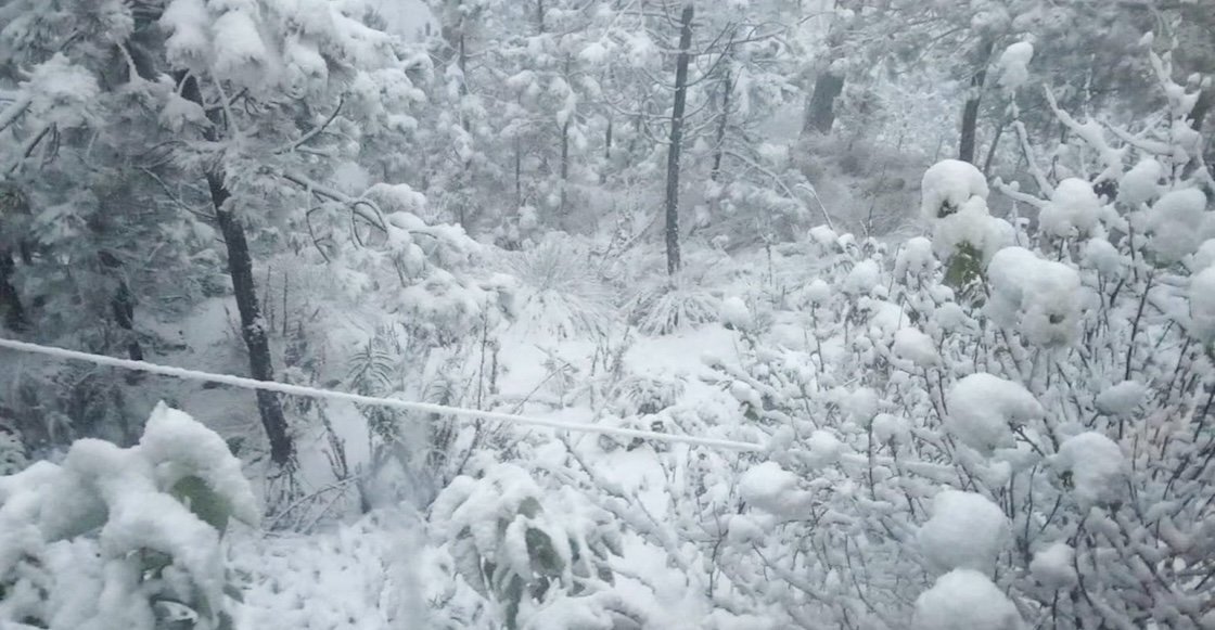 Frías Nochebuena y Navidad: El clima que esperamos en México