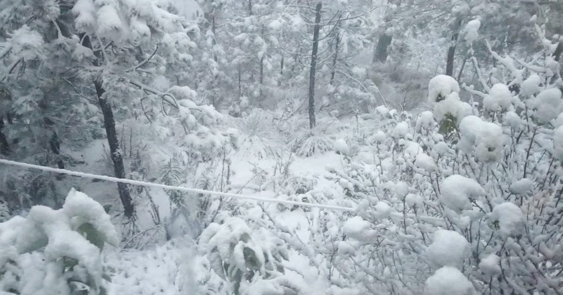 Frías Nochebuena y Navidad: Las heladas y lluvias que esperamos en México