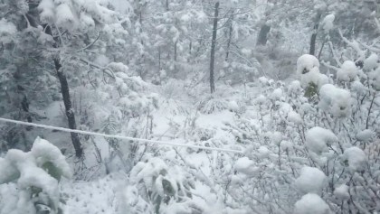 Frías Nochebuena y Navidad: El clima que esperamos en México