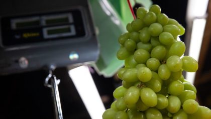 Uvas en mercado