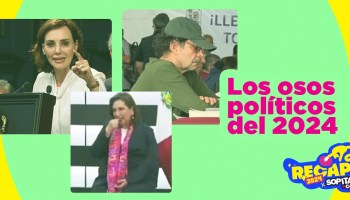 10 osos políticos que nos hicieron decir: 'Cálmate, por favor, 2024'