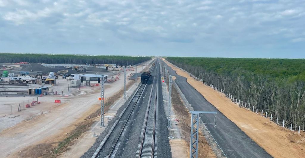 ruta del Tren Maya contra jaguares y venados: Los combate como 'fauna nociva'