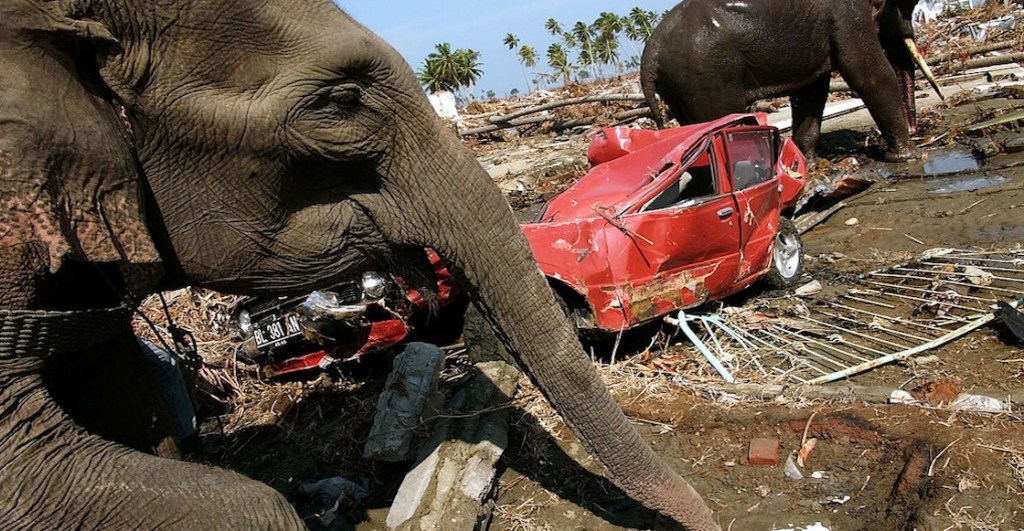 20 años del tsunami en el Índico; 20 fotos para dimensionar la magnitud de su impacto