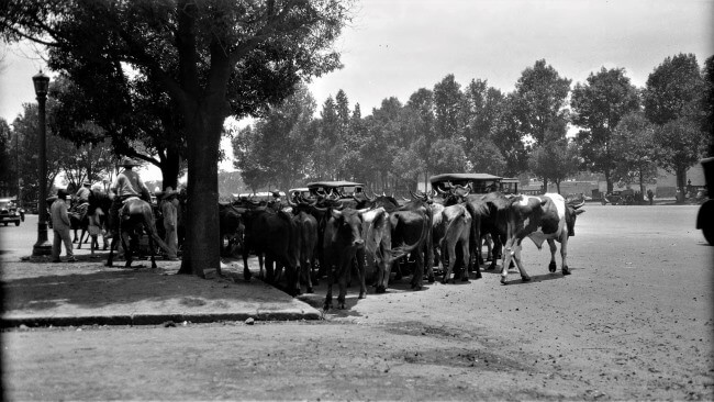 Retrocedamos 100 años en el pasado: Cómo era la CDMX en 1925