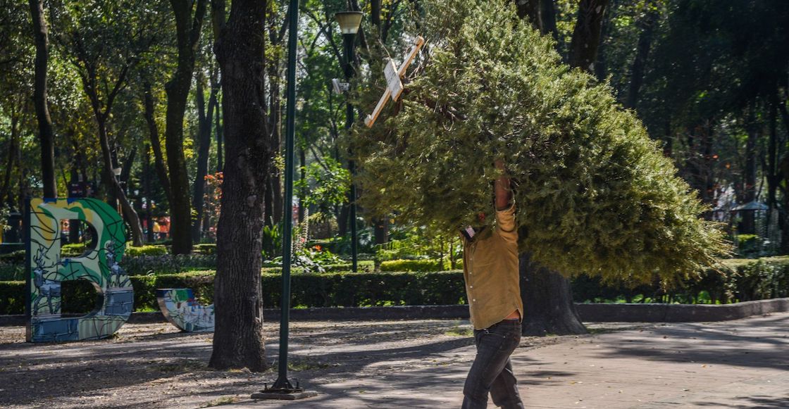 Centros de acopio para reciclar árboles de Navidad naturales en CDMX.