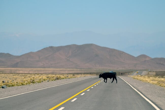 Vámonos de la Ciudad de México al fin del mundo en Argentina en coche