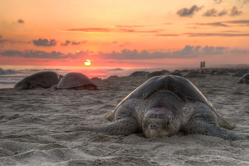 Las playas más encantadoras del Pacífico