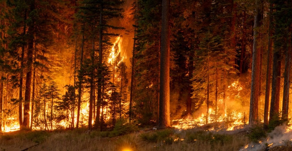 por-que-son-incendios-en-los-angeles-como-empezo-california