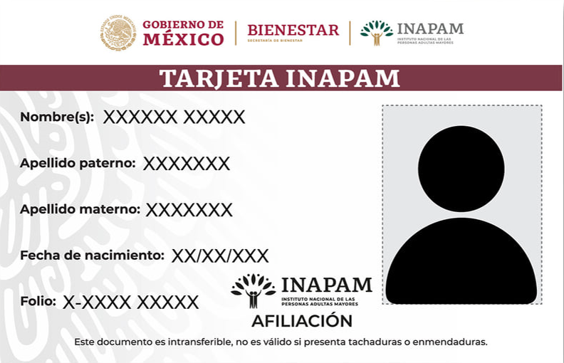 Programas a los que te puedes inscribir si tienes tarjeta Inapam