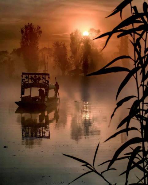 Instrucciones para ver el amanecer entre las chinampas de Xochimilco