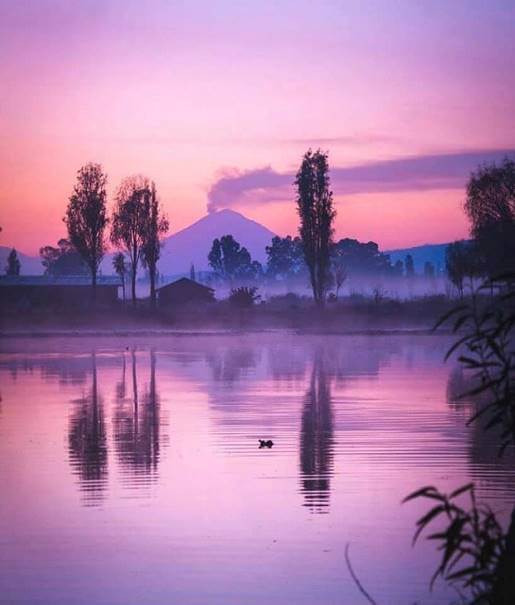 Instrucciones para ver el amanecer entre las chinampas de Xochimilco