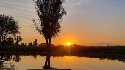 Instrucciones para ver el amanecer entre las chinampas de Xochimilco