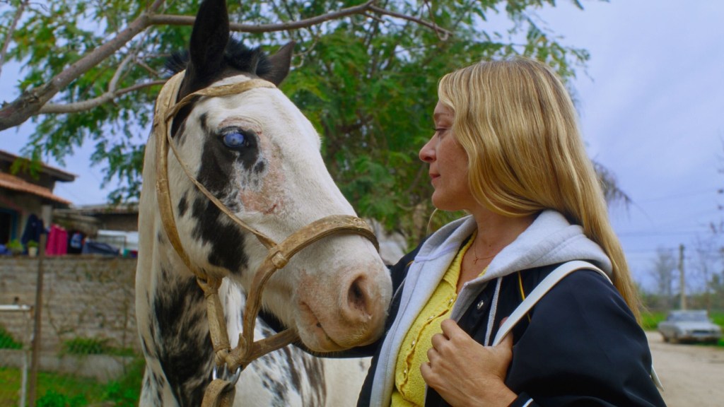 Chloë Sevigny en 'Magic Farm' 