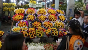 San Valentín: Dónde comprar Flores, poemas, canciones para dedicar y más