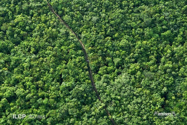 Joyas endémicas desconocidas de la Selva Maya