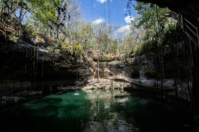 Joyas endémicas desconocidas de la Selva Maya