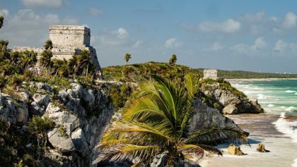 Joyas endémicas desconocidas de la Selva Maya