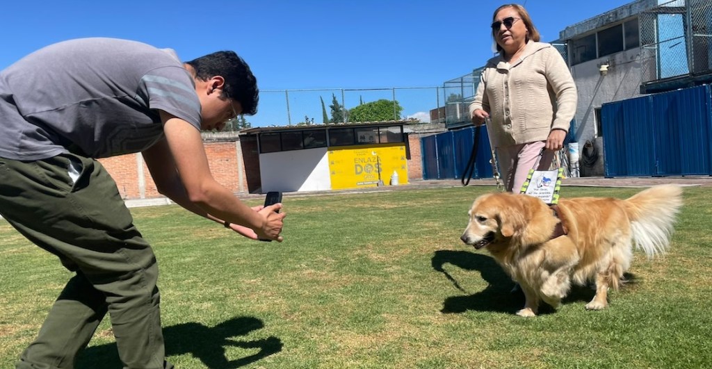 Visitamos una escuela de perritos guía: No son mascotas y todo lo que necesitamos saber 