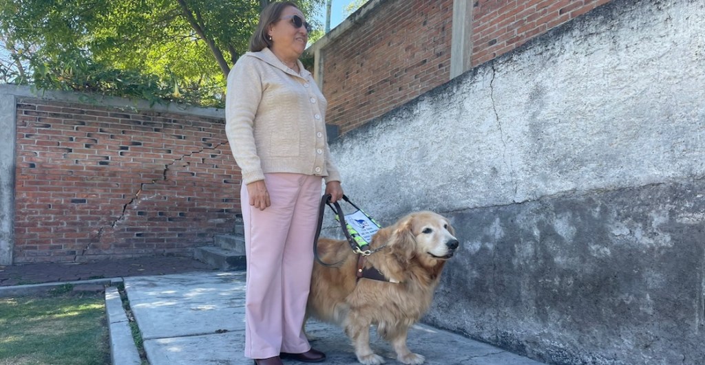 Visitamos una escuela de perritos guía: No son una mascota y todo lo que necesitamos saber