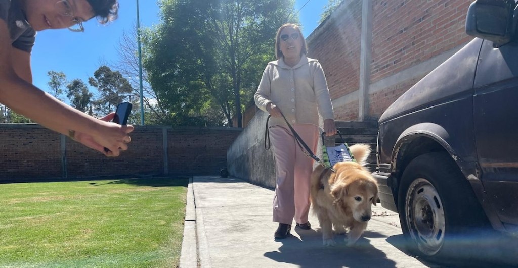 Visitamos una escuela de perritos guía: No son mascotas y todo lo que necesitamos saber