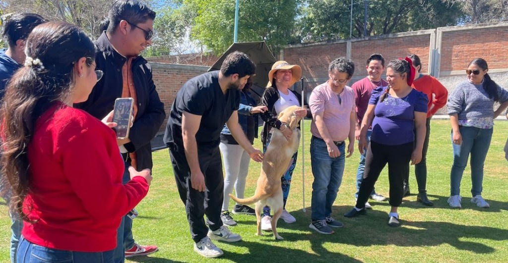 Visitamos una escuela de perritos guía: No son mascotas y todo lo que necesitamos saber