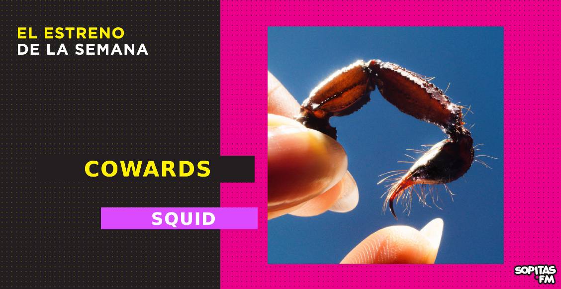 squid-cowards-resena-disco