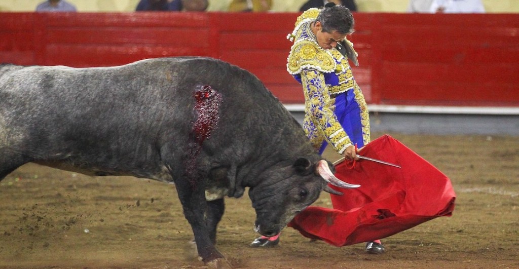 Otro intento para prohibir las corridas de toros y peleas de gallos en CDMX