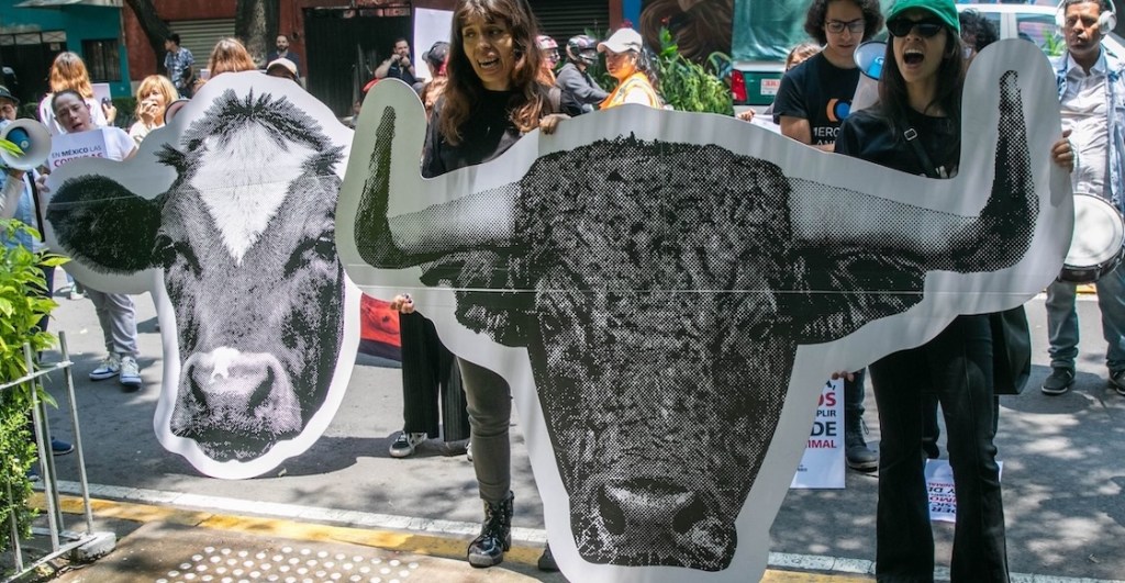 Otro intento para prohibir las corridas de toros y peleas de gallos en CDMX