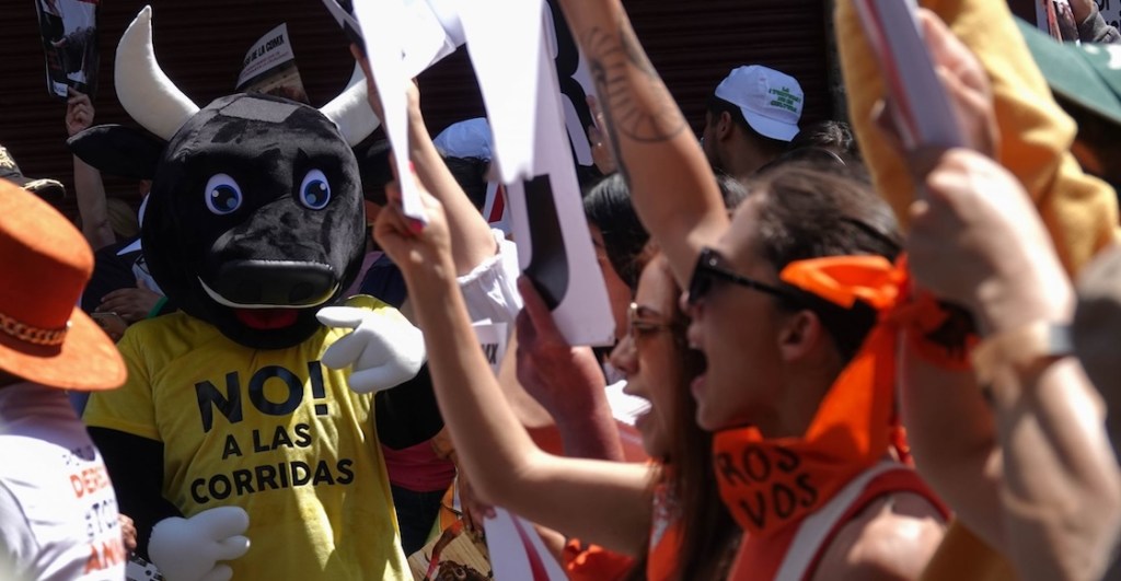 Otro intento para prohibir las corridas de toros y peleas de gallos en CDMX