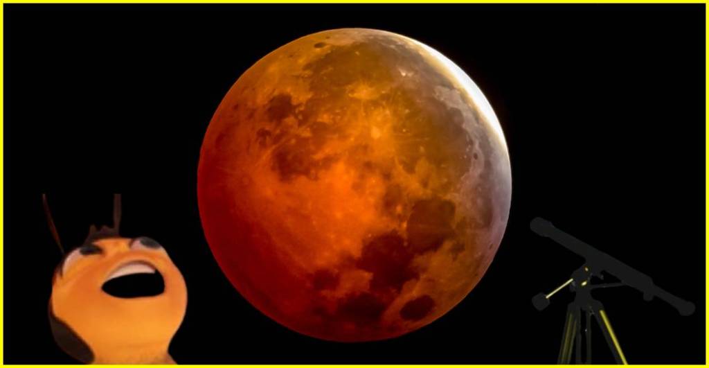 Hacks y apps para ver el eclipse lunar de marzo de 2025.