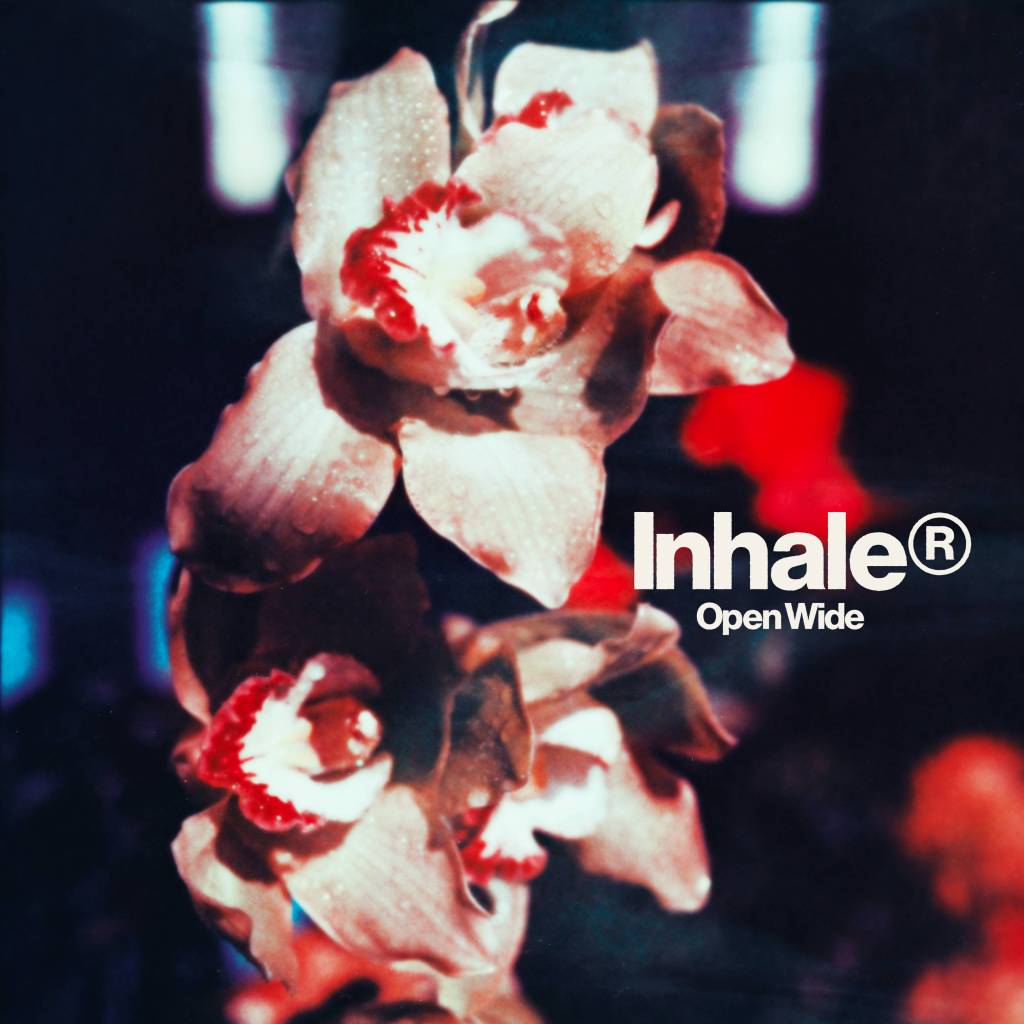 entrevista-inhaler-nuevo-disco-open-wide