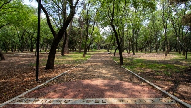 El parque Rufino Tamayo en Chapultepec