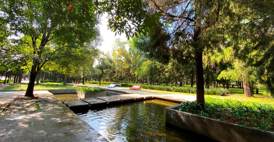 El parque Rufino Tamayo en Chapultepec